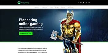 microgaming casino software review image